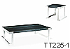 TT225-1