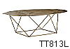 tt813l