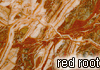 red root