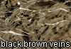 black brown veins